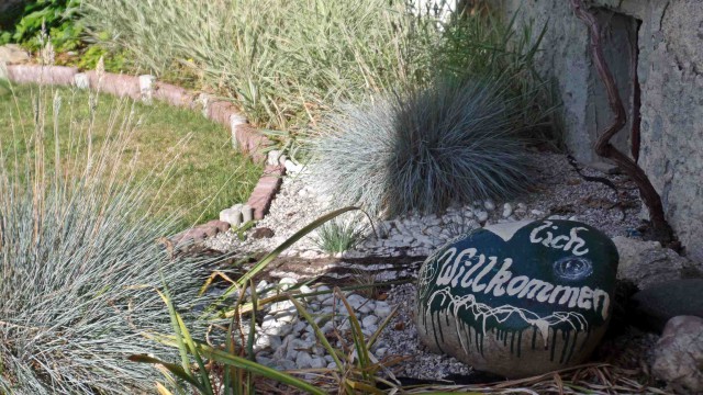 SAMSUNG CAMERA PICTURES